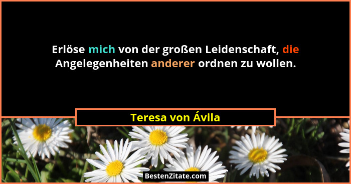 Erlöse mich von der großen Leidenschaft, die Angelegenheiten anderer ordnen zu wollen.... - Teresa von Ávila