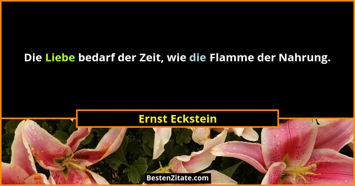 Die Liebe bedarf der Zeit, wie die Flamme der Nahrung.... - Ernst Eckstein
