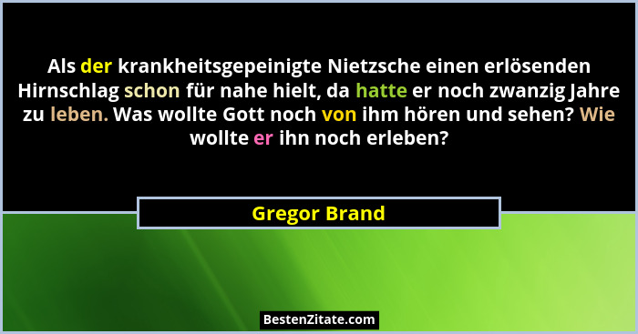 Als der krankheitsgepeinigte Nietzsche einen erlösenden Hirnschlag schon für nahe hielt, da hatte er noch zwanzig Jahre zu leben. Was w... - Gregor Brand