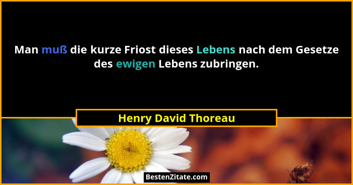 Man muß die kurze Friost dieses Lebens nach dem Gesetze des ewigen Lebens zubringen.... - Henry David Thoreau