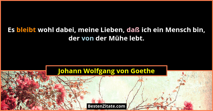 Es bleibt wohl dabei, meine Lieben, daß ich ein Mensch bin, der von der Mühe lebt.... - Johann Wolfgang von Goethe
