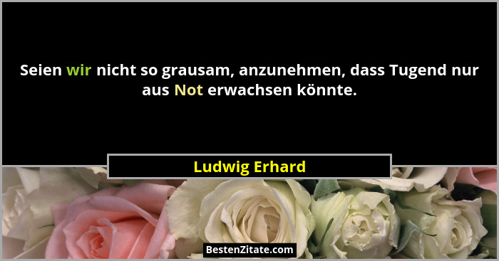 Seien wir nicht so grausam, anzunehmen, dass Tugend nur aus Not erwachsen könnte.... - Ludwig Erhard