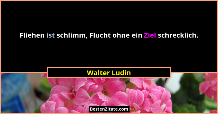 Fliehen ist schlimm, Flucht ohne ein Ziel schrecklich.... - Walter Ludin
