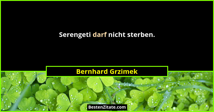Serengeti darf nicht sterben.... - Bernhard Grzimek