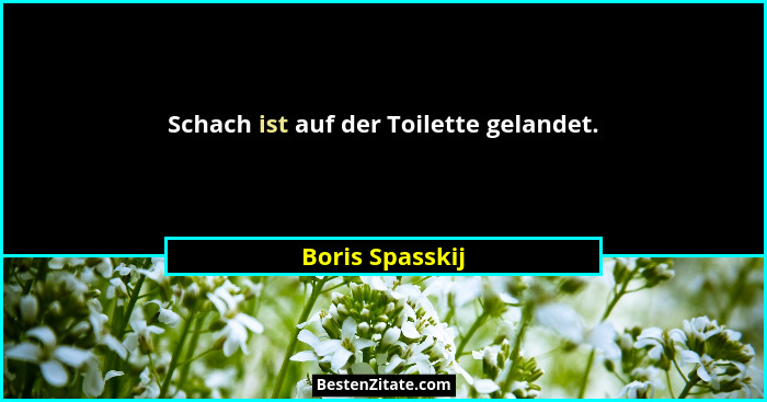 Schach ist auf der Toilette gelandet.... - Boris Spasskij