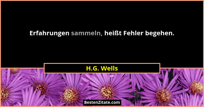Erfahrungen sammeln, heißt Fehler begehen.... - H.G. Wells