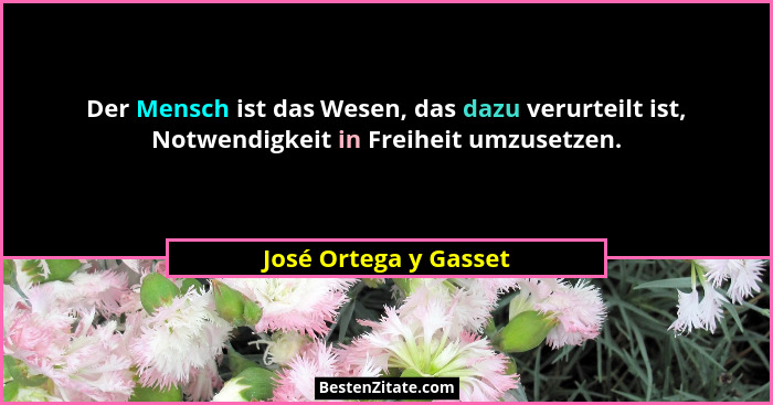 Der Mensch ist das Wesen, das dazu verurteilt ist, Notwendigkeit in Freiheit umzusetzen.... - José Ortega y Gasset