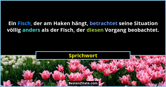 Ein Fisch, der am Haken hängt, betrachtet seine Situation völlig anders als der Fisch, der diesen Vorgang beobachtet.... - Sprichwort