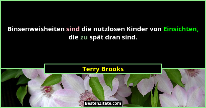 Binsenweisheiten sind die nutzlosen Kinder von Einsichten, die zu spät dran sind.... - Terry Brooks