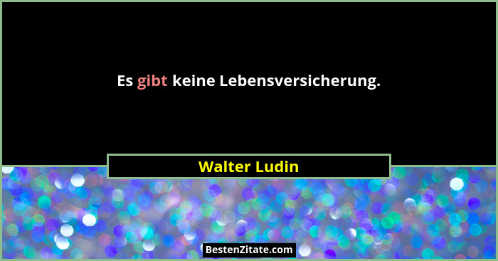 Es gibt keine Lebensversicherung.... - Walter Ludin