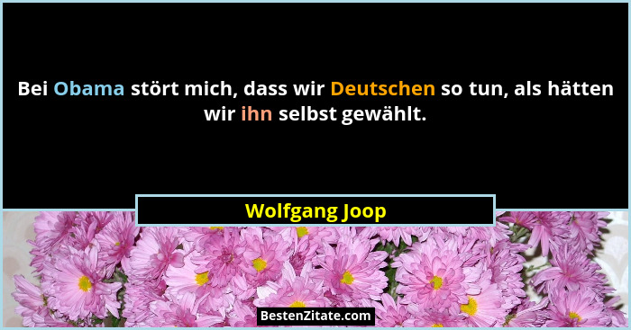 Bei Obama stört mich, dass wir Deutschen so tun, als hätten wir ihn selbst gewählt.... - Wolfgang Joop