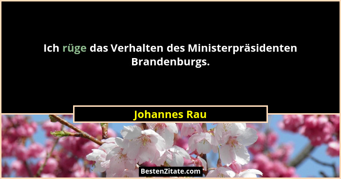 Ich rüge das Verhalten des Ministerpräsidenten Brandenburgs.... - Johannes Rau