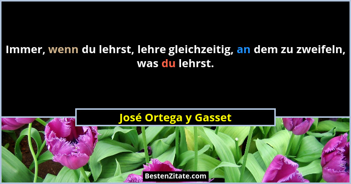 Immer, wenn du lehrst, lehre gleichzeitig, an dem zu zweifeln, was du lehrst.... - José Ortega y Gasset