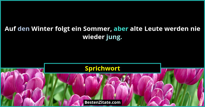 Auf den Winter folgt ein Sommer, aber alte Leute werden nie wieder jung.... - Sprichwort