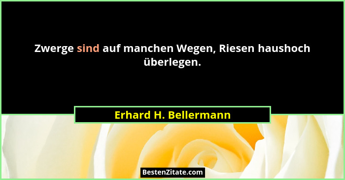 Zwerge sind auf manchen Wegen, Riesen haushoch überlegen.... - Erhard H. Bellermann