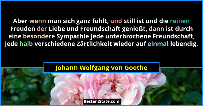 Aber wenn man sich ganz fühlt, und still ist und die reinen Freuden der Liebe und Freundschaft genießt, dann ist durch ei... - Johann Wolfgang von Goethe