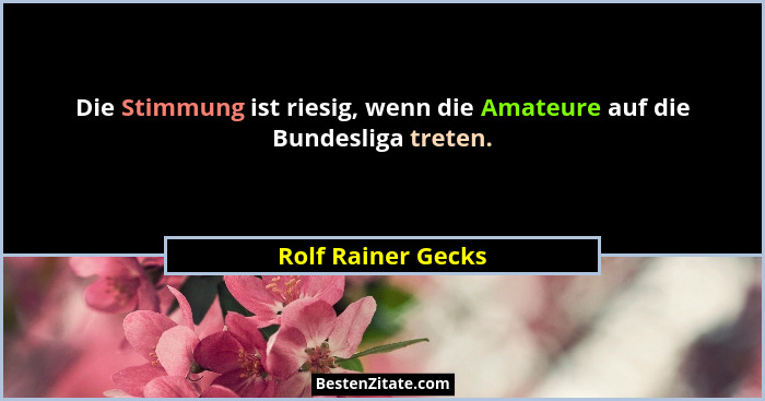 Die Stimmung ist riesig, wenn die Amateure auf die Bundesliga treten.... - Rolf Rainer Gecks