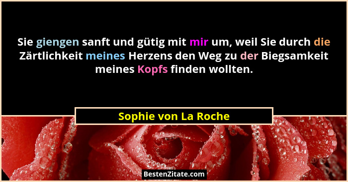 Sie giengen sanft und gütig mit mir um, weil Sie durch die Zärtlichkeit meines Herzens den Weg zu der Biegsamkeit meines Kopfs f... - Sophie von La Roche
