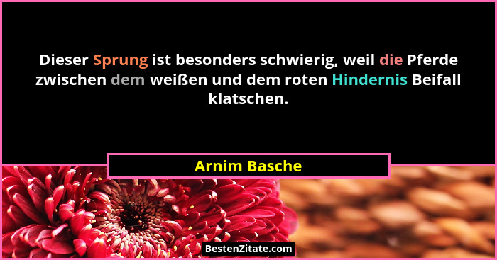 Dieser Sprung ist besonders schwierig, weil die Pferde zwischen dem weißen und dem roten Hindernis Beifall klatschen.... - Arnim Basche