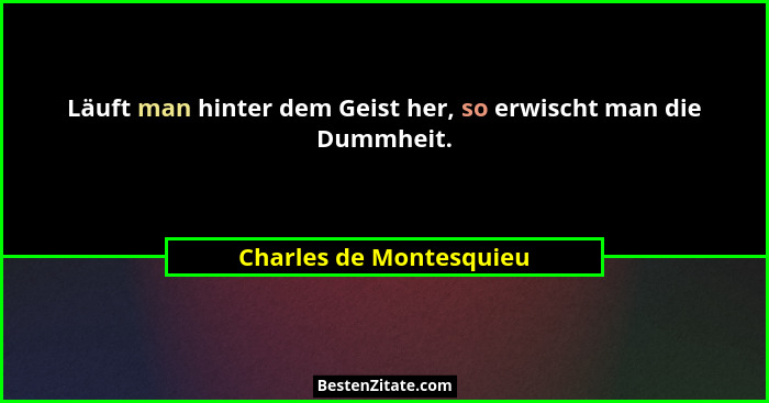 Läuft man hinter dem Geist her, so erwischt man die Dummheit.... - Charles de Montesquieu
