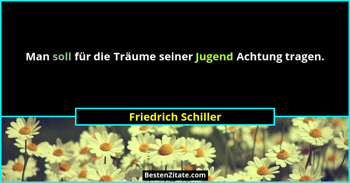 Man soll für die Träume seiner Jugend Achtung tragen.... - Friedrich Schiller