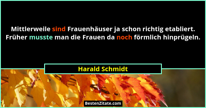Mittlerweile sind Frauenhäuser ja schon richtig etabliert. Früher musste man die Frauen da noch förmlich hinprügeln.... - Harald Schmidt