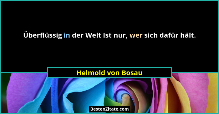 Überflüssig in der Welt Ist nur, wer sich dafür hält.... - Helmold von Bosau