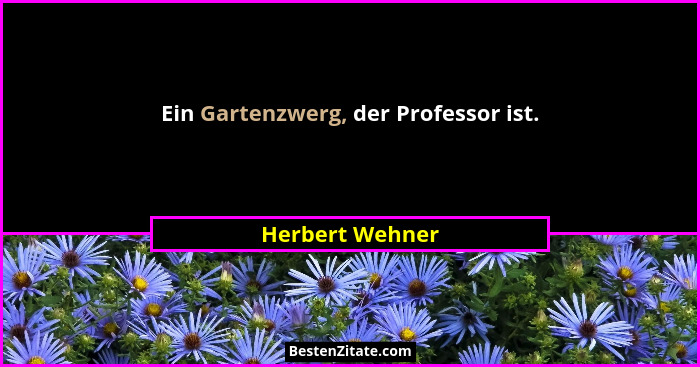Ein Gartenzwerg, der Professor ist.... - Herbert Wehner