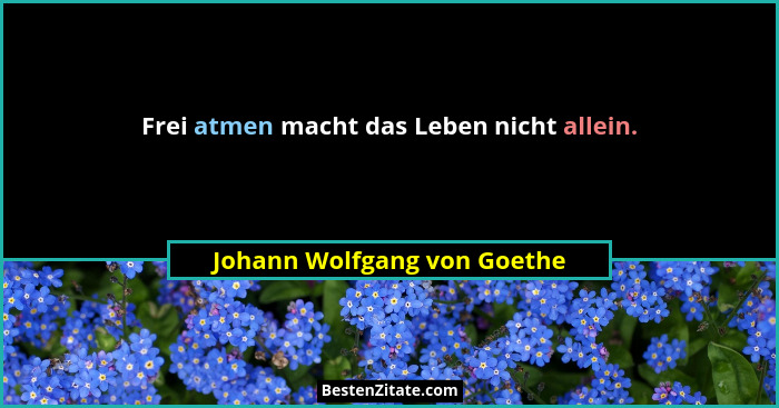 Frei atmen macht das Leben nicht allein.... - Johann Wolfgang von Goethe
