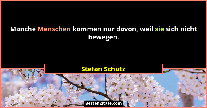 Manche Menschen kommen nur davon, weil sie sich nicht bewegen.... - Stefan Schütz