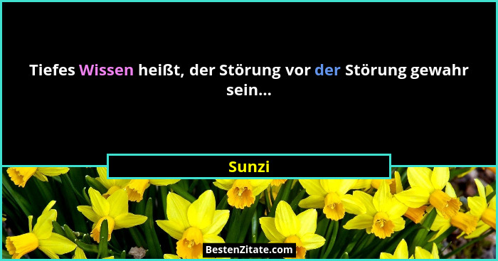 Tiefes Wissen heißt, der Störung vor der Störung gewahr sein...... - Sunzi