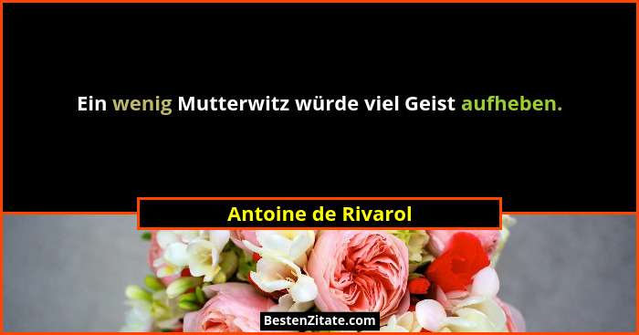 Ein wenig Mutterwitz würde viel Geist aufheben.... - Antoine de Rivarol