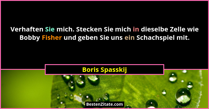 Verhaften Sie mich. Stecken Sie mich in dieselbe Zelle wie Bobby Fisher und geben Sie uns ein Schachspiel mit.... - Boris Spasskij
