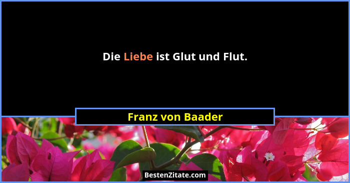 Die Liebe ist Glut und Flut.... - Franz von Baader