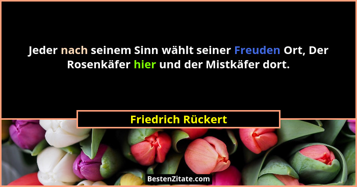 Jeder nach seinem Sinn wählt seiner Freuden Ort, Der Rosenkäfer hier und der Mistkäfer dort.... - Friedrich Rückert