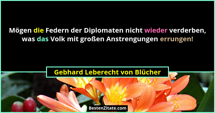 Mögen die Federn der Diplomaten nicht wieder verderben, was das Volk mit großen Anstrengungen errungen!... - Gebhard Leberecht von Blücher
