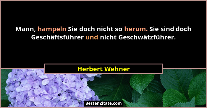 Mann, hampeln Sie doch nicht so herum. Sie sind doch Geschäftsführer und nicht Geschwätzführer.... - Herbert Wehner