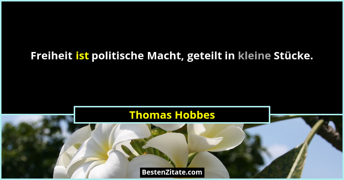 Freiheit ist politische Macht, geteilt in kleine Stücke.... - Thomas Hobbes