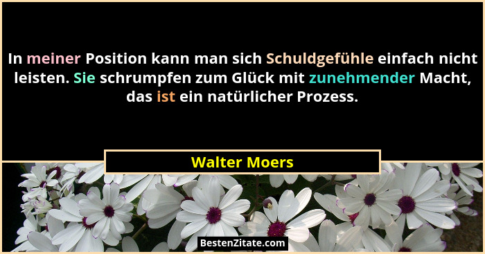 In meiner Position kann man sich Schuldgefühle einfach nicht leisten. Sie schrumpfen zum Glück mit zunehmender Macht, das ist ein natür... - Walter Moers