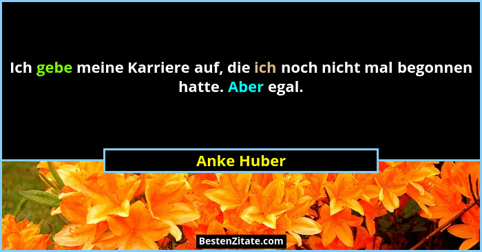 Ich gebe meine Karriere auf, die ich noch nicht mal begonnen hatte. Aber egal.... - Anke Huber