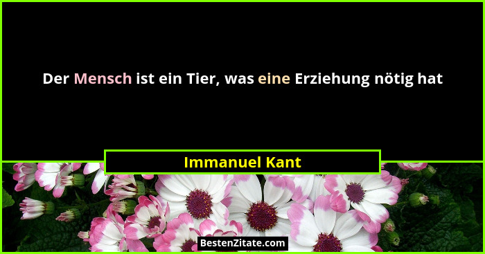 Der Mensch ist ein Tier, was eine Erziehung nötig hat... - Immanuel Kant