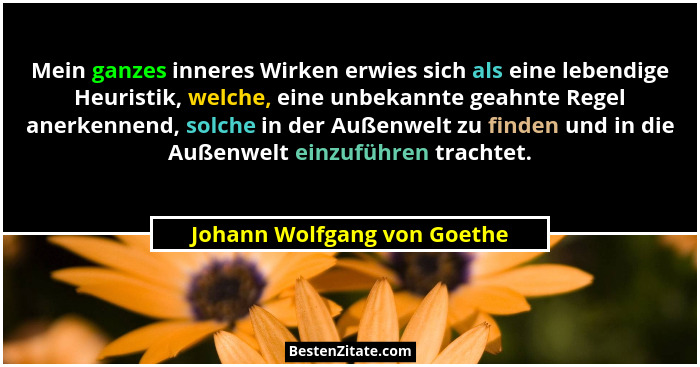 Mein ganzes inneres Wirken erwies sich als eine lebendige Heuristik, welche, eine unbekannte geahnte Regel anerkennend, s... - Johann Wolfgang von Goethe