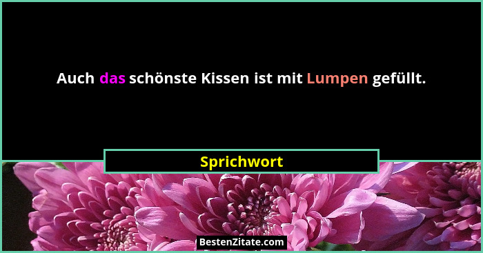 Auch das schönste Kissen ist mit Lumpen gefüllt.... - Sprichwort