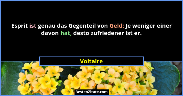 Esprit ist genau das Gegenteil von Geld: Je weniger einer davon hat, desto zufriedener ist er.... - Voltaire
