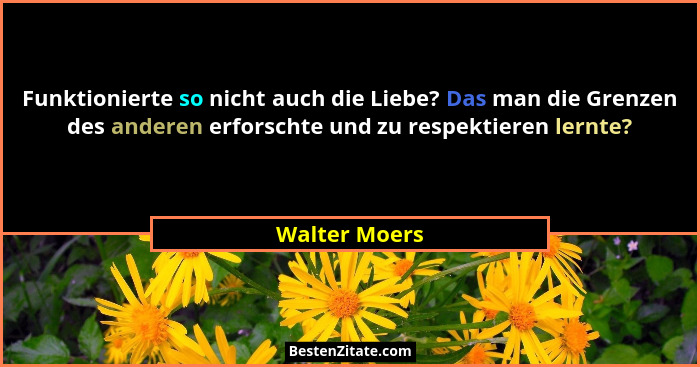 Funktionierte so nicht auch die Liebe? Das man die Grenzen des anderen erforschte und zu respektieren lernte?... - Walter Moers