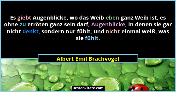 Es giebt Augenblicke, wo das Weib eben ganz Weib ist, es ohne zu erröten ganz sein darf, Augenblicke, in denen sie gar nicht... - Albert Emil Brachvogel