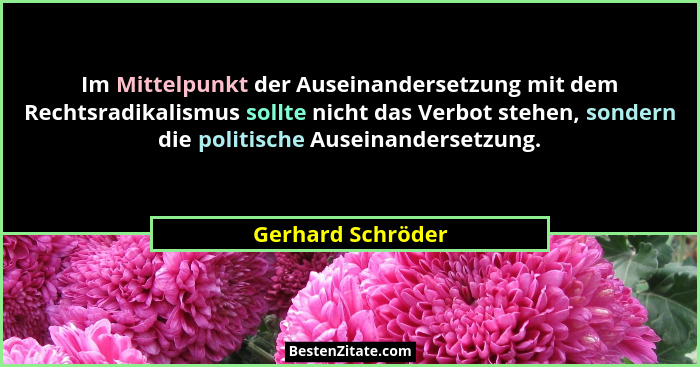 Im Mittelpunkt der Auseinandersetzung mit dem Rechtsradikalismus sollte nicht das Verbot stehen, sondern die politische Auseinander... - Gerhard Schröder