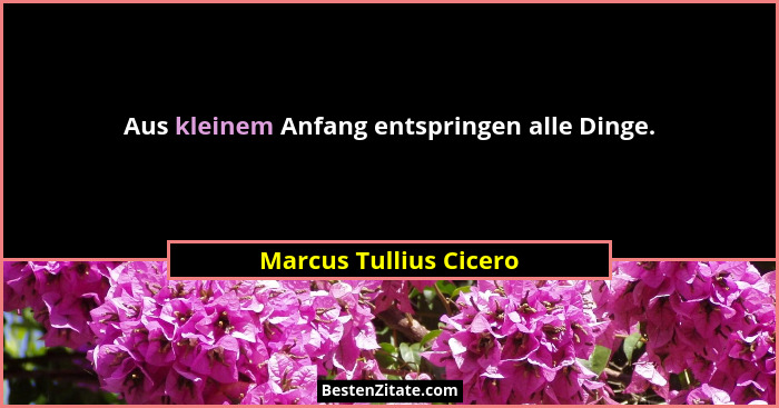 Aus kleinem Anfang entspringen alle Dinge.... - Marcus Tullius Cicero