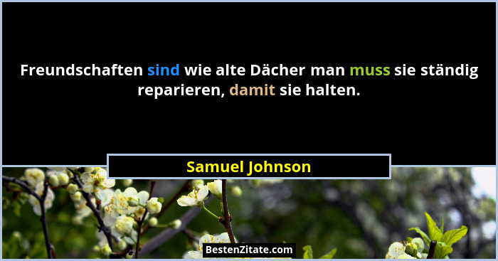 Freundschaften sind wie alte Dächer man muss sie ständig reparieren, damit sie halten.... - Samuel Johnson