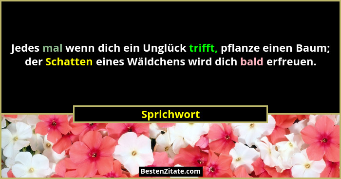 Jedes mal wenn dich ein Unglück trifft, pflanze einen Baum; der Schatten eines Wäldchens wird dich bald erfreuen.... - Sprichwort